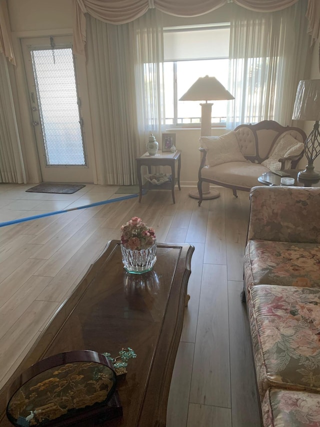 living room featuring hardwood / wood-style flooring