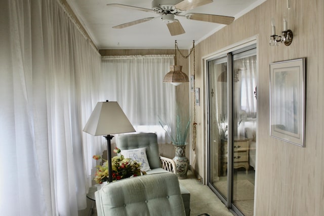 living area featuring a ceiling fan and carpet
