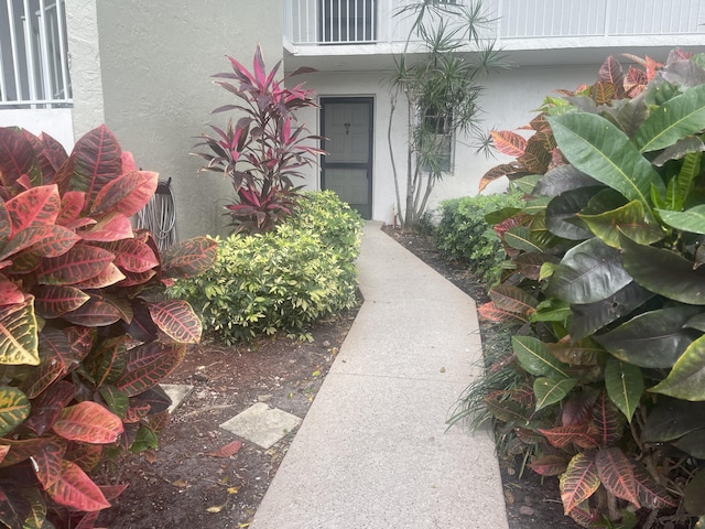 view of exterior entry featuring stucco siding