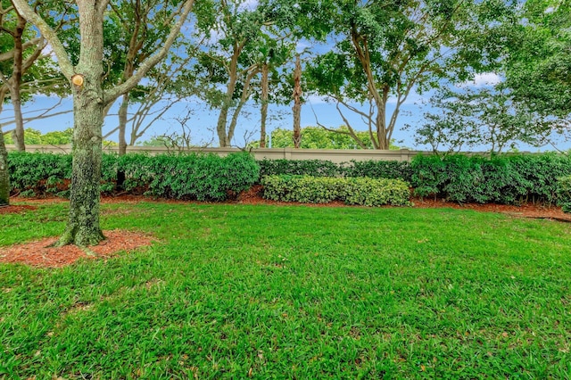6722 Watertown Dr, Boynton Beach, FL 33437 - view of yard