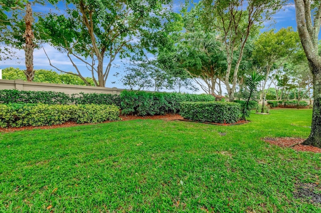 6722 Watertown Dr, Boynton Beach, FL 33437 - view of yard