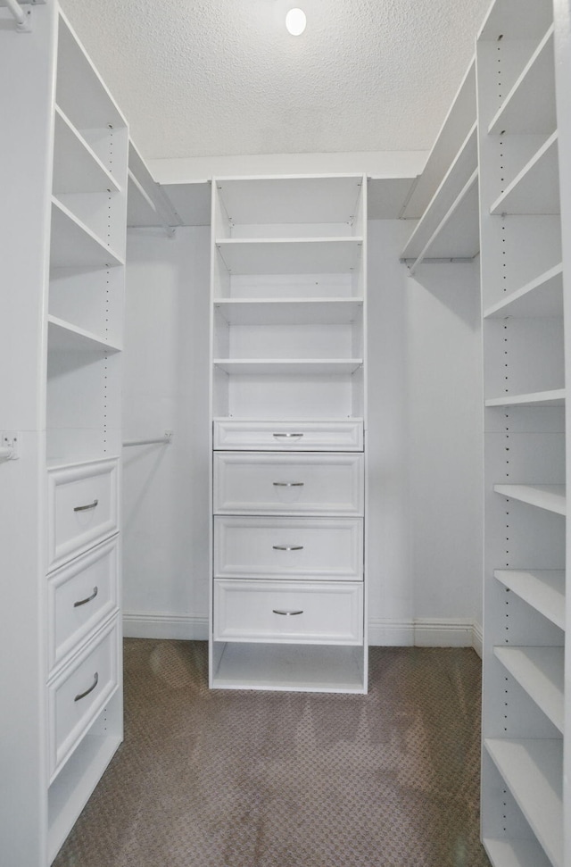 walk in closet featuring dark colored carpet