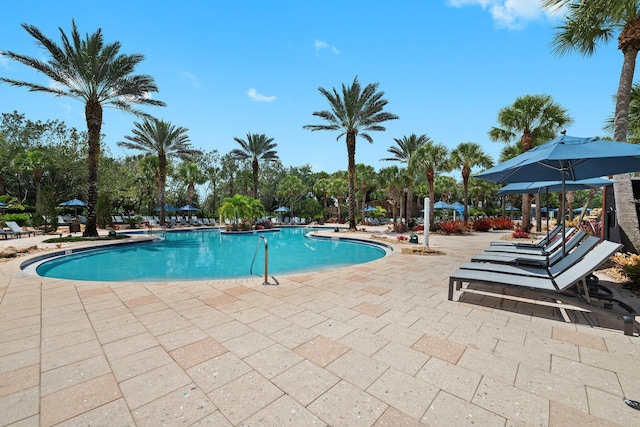9650 Eden Mnr, Parkland, FL 33076 - pool featuring a patio