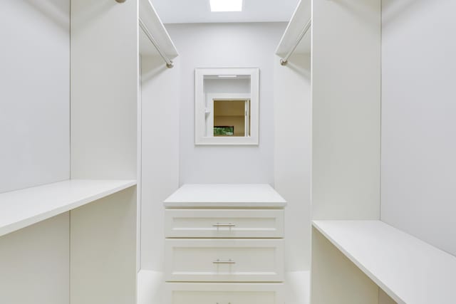 view of walk in closet