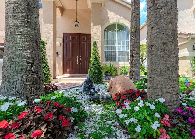 property entrance featuring stucco siding
