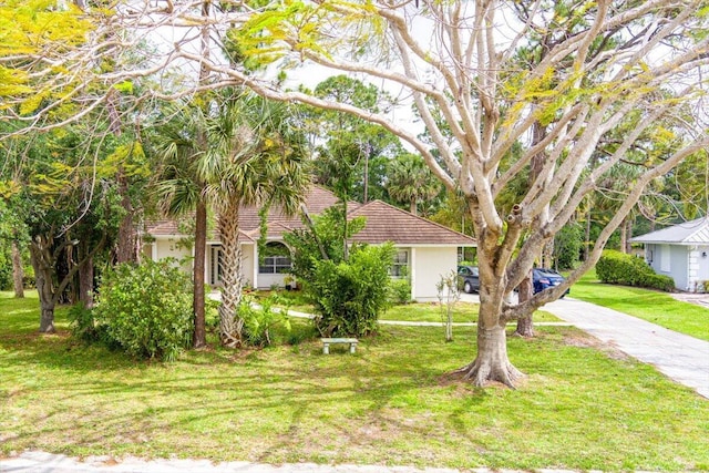 view of front of property featuring stucco siding, concrete driveway, and a front yard