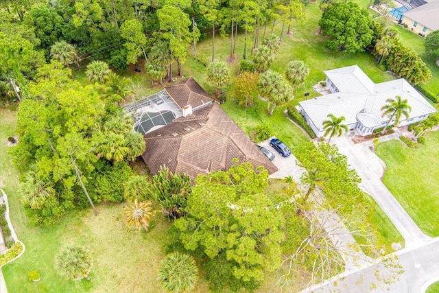 bird's eye view