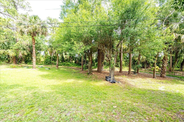 view of yard