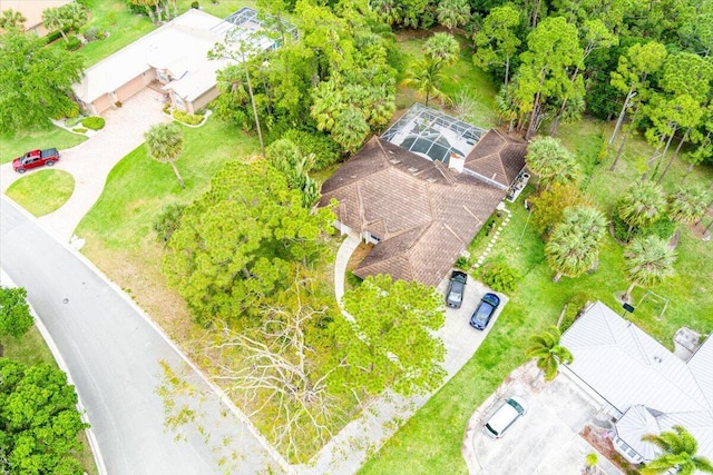 bird's eye view