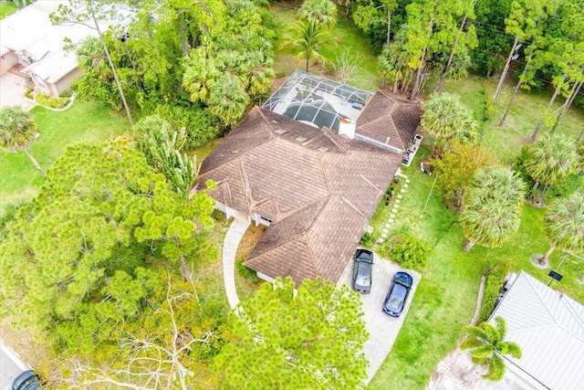 drone / aerial view