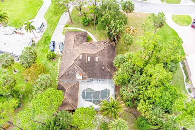 bird's eye view