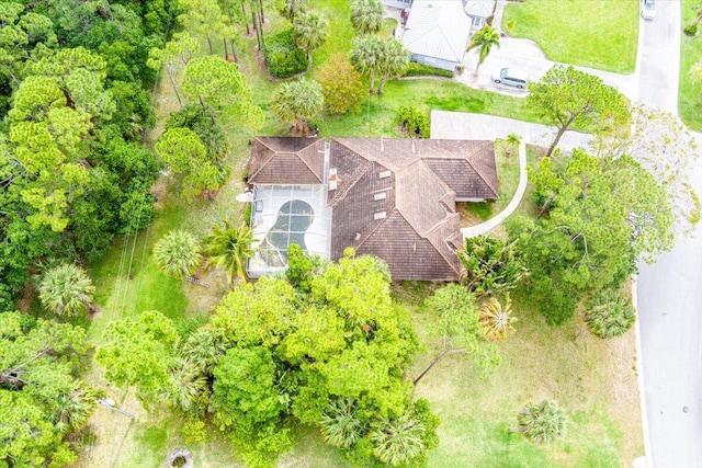 aerial view