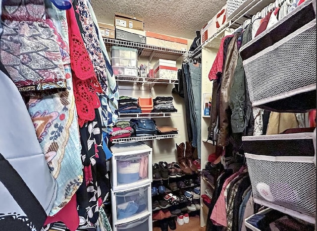 3696 Timberline Dr, West Palm Beach, FL 33406 - view of spacious closet