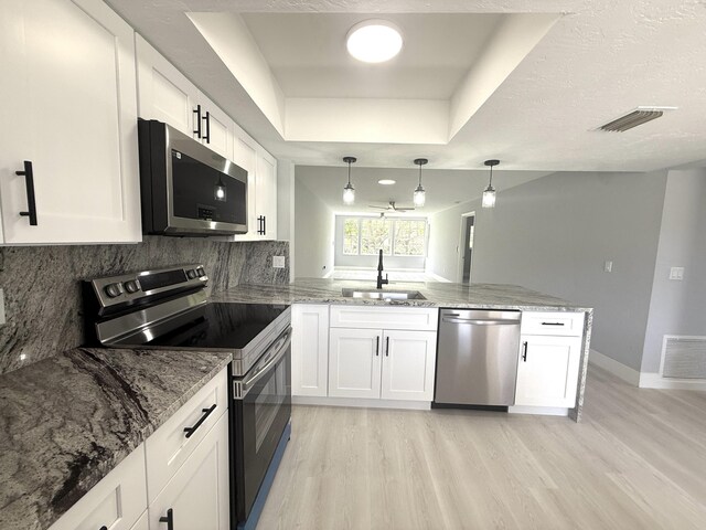 208 Palm Beach Trace Dr, Royal Palm Beach, FL 33411 - kitchen with appliances with stainless steel finishes, a sink, a peninsula, a tray ceiling, and light wood-type flooring
