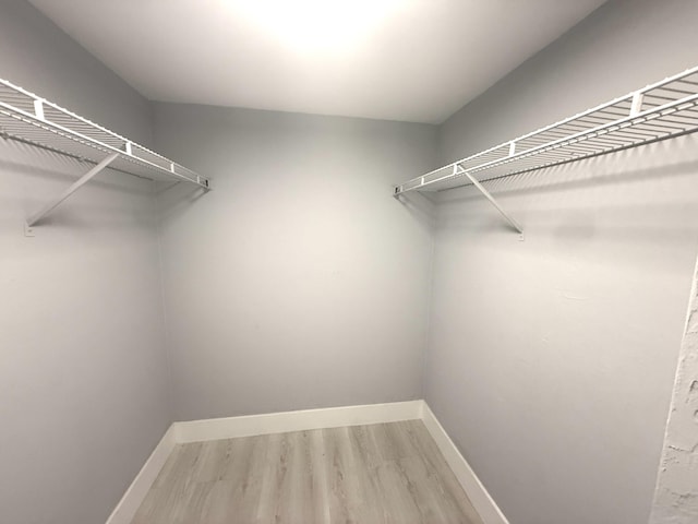 208 Palm Beach Trace Dr, Royal Palm Beach, FL 33411 - spacious closet featuring light wood-style floors