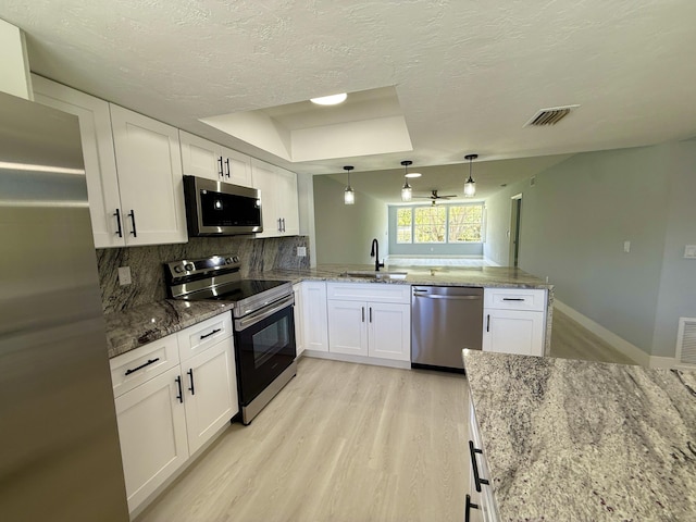 208 Palm Beach Trace Dr, Royal Palm Beach, FL 33411 - kitchen with stainless steel appliances, a sink, a tray ceiling, a peninsula, and light wood-style floors