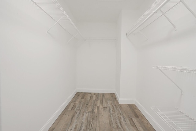 spacious closet featuring light wood-style floors