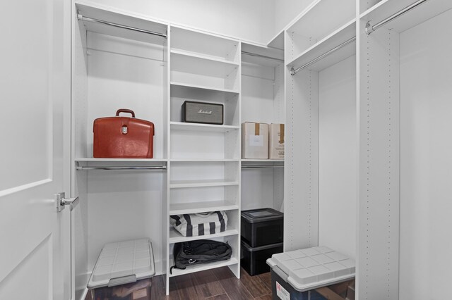 3038 Safflower Cir, West Palm Beach, FL 33401 - walk in closet with dark wood-style flooring