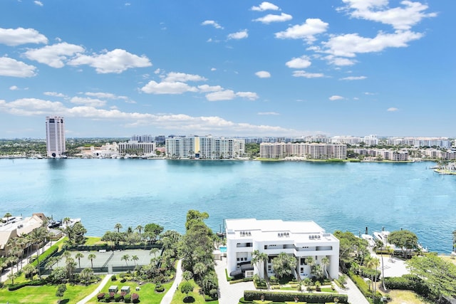 water view featuring a city view