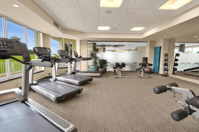 exercise room with carpet floors, a drop ceiling, and visible vents