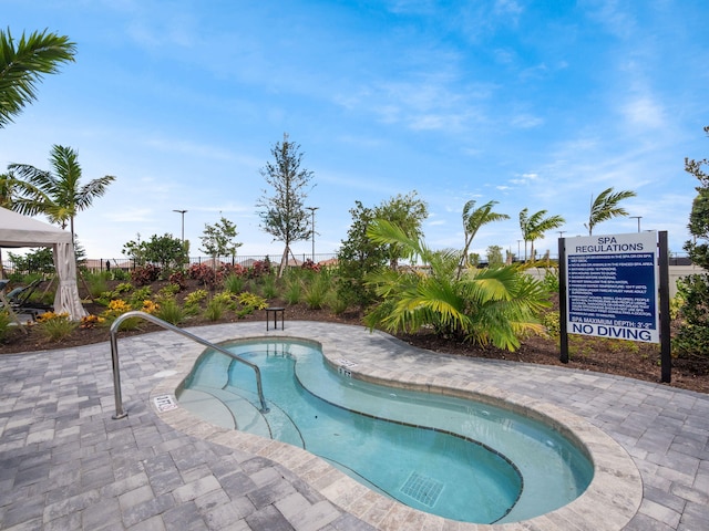 view of swimming pool with a swimming pool and a patio area