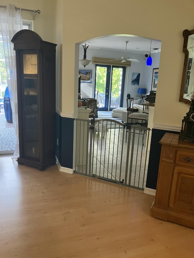 kitchen with ceiling fan, light wood-style floors, and plenty of natural light