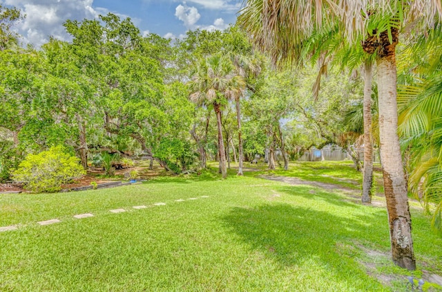 view of green lawn