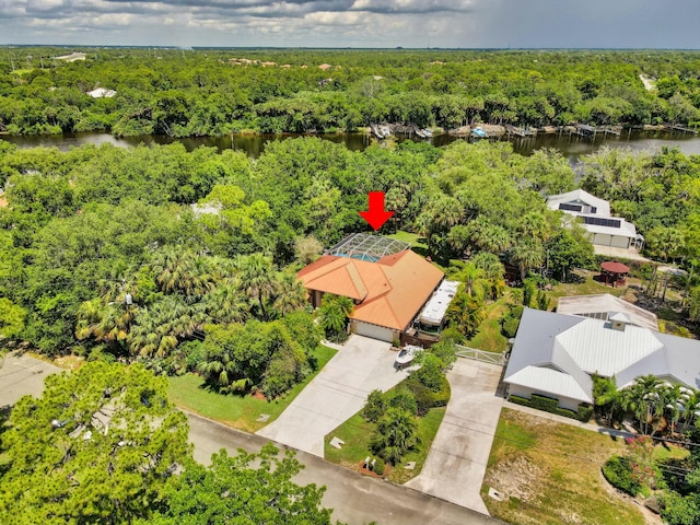 drone / aerial view of a forest and a large body of water