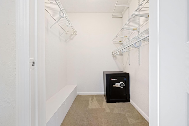 spacious closet with carpet