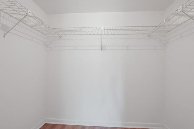 1852 SW Palm City Rd Unit 202, Stuart, FL 34994 - walk in closet with wood finished floors