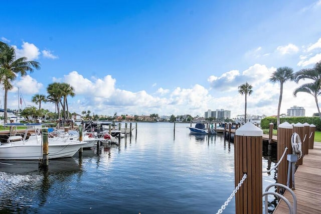 dock area with a water view