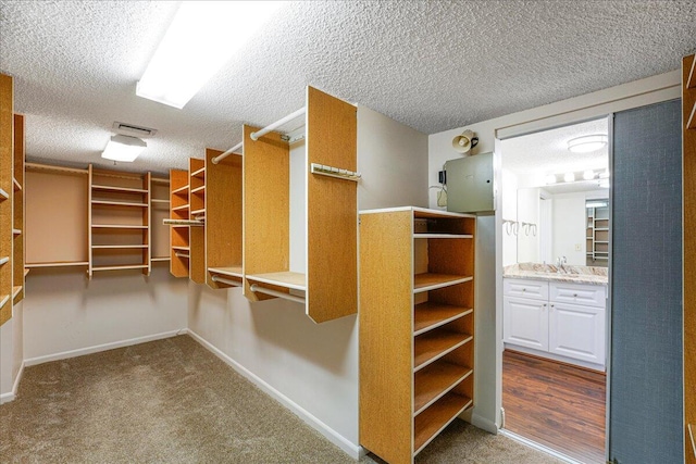 7572 Regency Lake Dr Unit 501, Boca Raton, FL 33433 - spacious closet featuring a sink and carpet floors