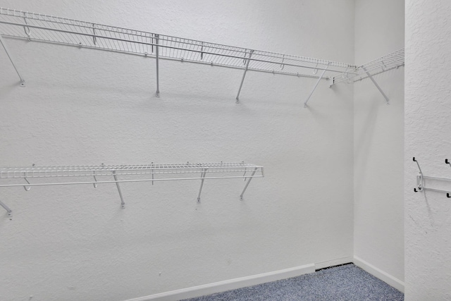 5266 Landon Cir, Boynton Beach, FL 33437 - spacious closet with carpet floors