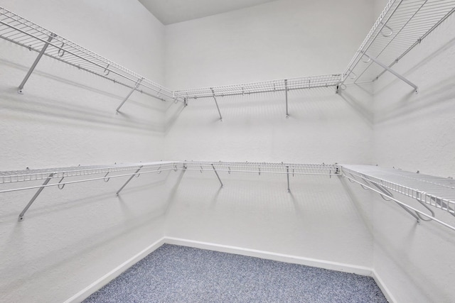 5266 Landon Cir, Boynton Beach, FL 33437 - walk in closet featuring carpet floors