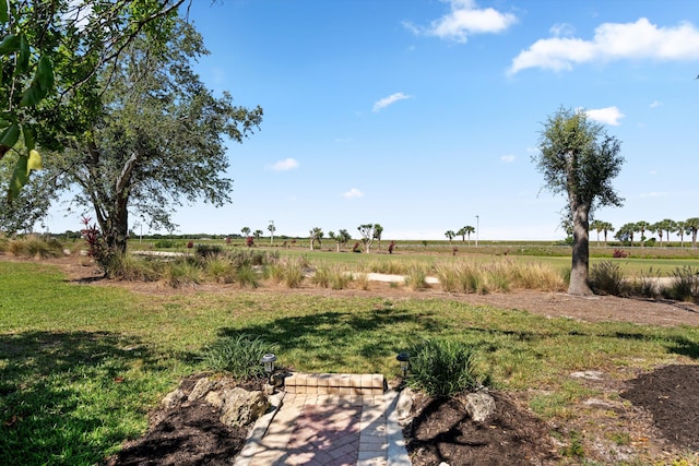 view of yard with a rural view