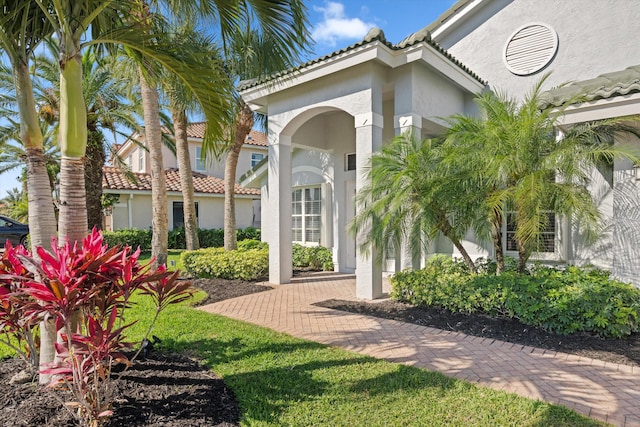 doorway to property featuring stucco siding and a tile roof