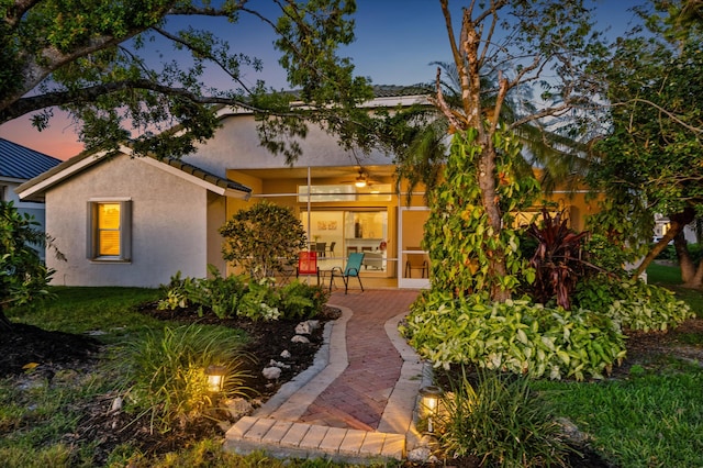 back of property featuring a patio, stucco siding, and a ceiling fan