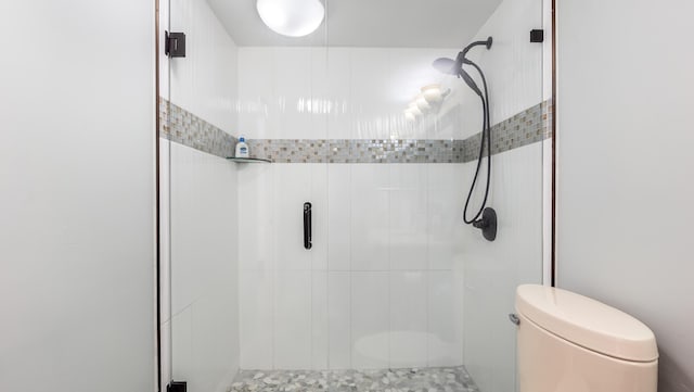full bathroom featuring a shower stall and toilet