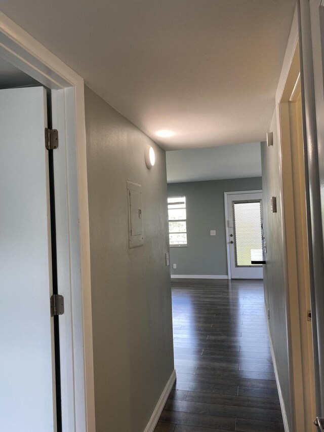 563 Capri L, Delray Beach, FL 33484 - corridor with dark wood-style flooring and electric panel