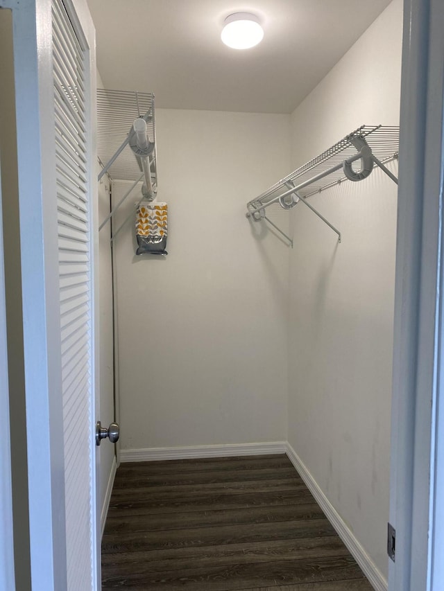 563 Capri L, Delray Beach, FL 33484 - walk in closet with dark wood-type flooring