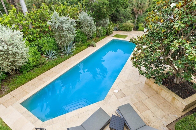 5 Osprey Ct, Ocean Ridge, FL 33435 - outdoor pool featuring a patio