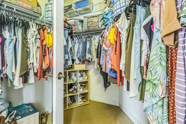 694 Cresta Cir, West Palm Beach, FL 33413 - walk in closet featuring carpet flooring
