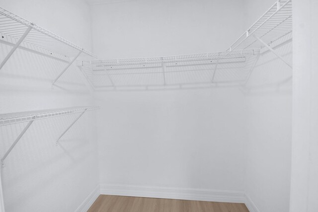 6551 SE Federal Hwy Unit 203, Stuart, FL 34997 - spacious closet featuring light wood-style floors