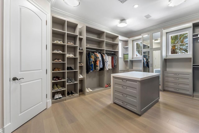 251 W Coconut Palm Rd, Boca Raton, FL 33432 - spacious closet featuring light wood finished floors