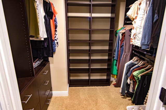 200 E Palmetto Park Rd Unit 503, Boca Raton, FL 33432 - view of spacious closet