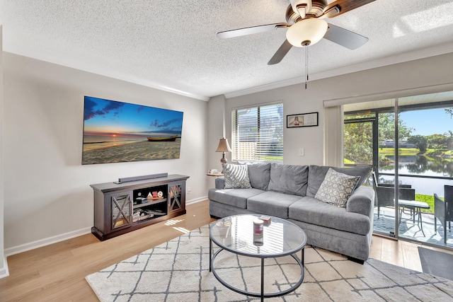 2190 Discovery Cir W, Deerfield Beach, FL 33442 - living room featuring baseboards, a textured ceiling, a ceiling fan, and wood finished floors