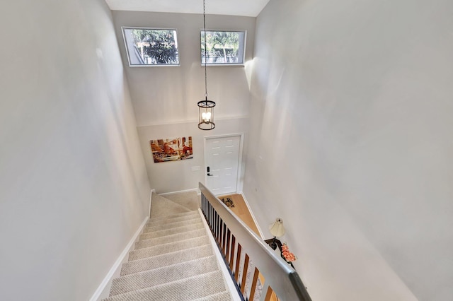 2190 Discovery Cir W, Deerfield Beach, FL 33442 - staircase featuring carpet flooring, a high ceiling, and baseboards