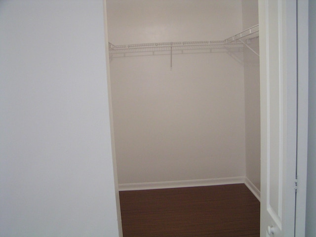 312 River Bluff Ln, Royal Palm Beach, FL 33411 - spacious closet featuring wood finished floors