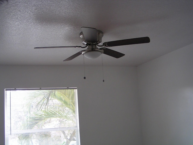 312 River Bluff Ln, Royal Palm Beach, FL 33411 - detailed view of a ceiling fan