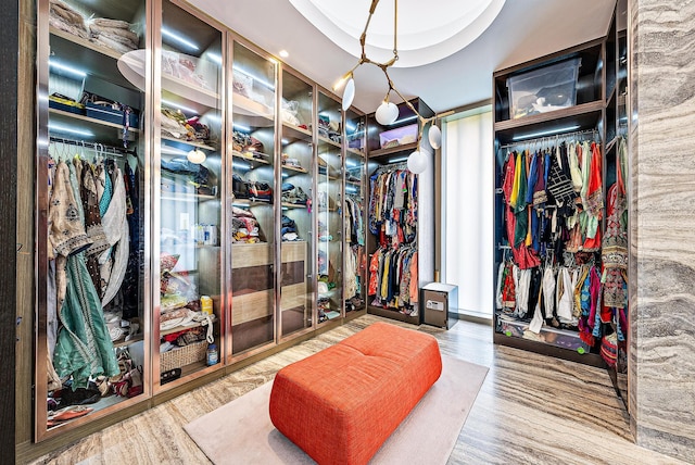 walk in closet with wood finished floors